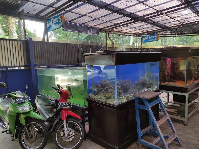 Warung Kopi di Jalan Ir Juanda: Saingan Rival Saat Citimall Datang